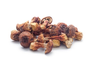 Beyaz arka planda izole edilmiş Agaricus blazei mantarı yığını.