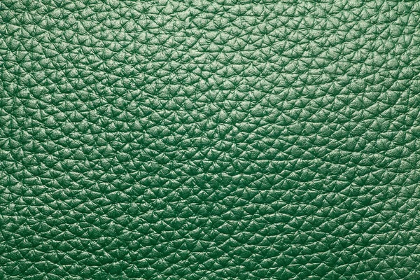 Zelená Kůže Textury Pozadí Detailní Záběr — Stock fotografie