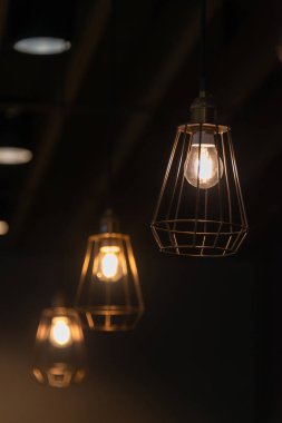 Modern siyah tel çerçeve tavan lambası iç aydınlatma ampulleri klasik tarz dekorasyon çağdaş