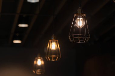 Modern siyah tel çerçeve tavan lambası iç aydınlatma ampulleri klasik tarz dekorasyon çağdaş