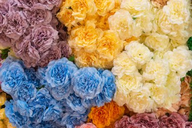 Arka plan için güzel renkli çiçekler, konsept Aşıklar, düğün, dekorasyon, Sevgililer Günü