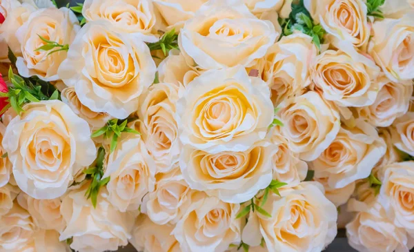 Belle Rose Colorate Fiori Fioriti Sfondo Concetto Amante Festivo Matrimonio — Foto Stock