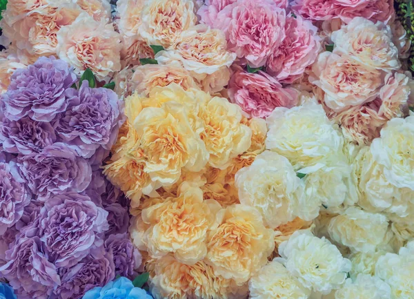 Indah Bunga Mekar Berwarna Warni Untuk Latar Belakang Konsep Pesta — Stok Foto