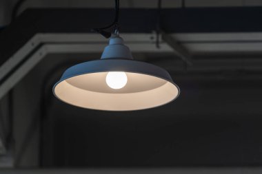 Modern beyaz metal tavan lambası iç aydınlatma ampulleri dekorasyon klasik tarz modern