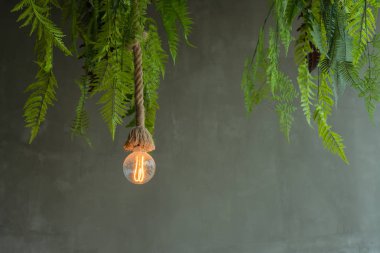 Modern tavan lambası halattan yeşil taze iç aydınlatma ampulleri ile modern olarak uygulanır.