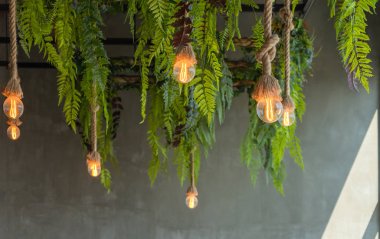 Modern tavan lambası halattan yeşil taze iç aydınlatma ampulleri ile modern olarak uygulanır.