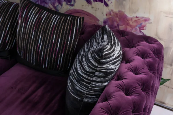 Modern purple velvet sofa and fabric pillows interior decoration contemporary