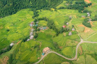 Güzel pirinç tarlaları, SA 'nın küçük bir köyü ve Kuzeybatı Vietnam' daki seyahat yeri.