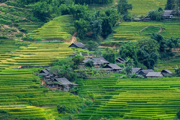 Hermoso Campo Terraza Arroz Famoso Lugar Destino Viaje Ubicado Cordillera — Foto de Stock