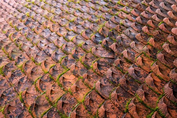 Antiche Tegole Tradizionali Presso Tempio Montagna Fansipan Attrazione Destinazione Viaggio — Foto Stock