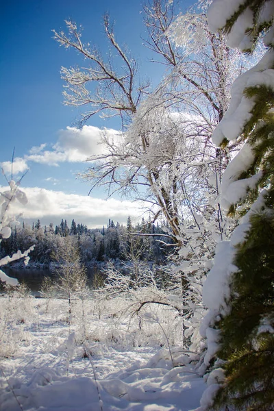 Schöne Winterlandschaft mit schneebedeckten Bäumen. Winter Schnee Wald mit blauem Himmel auf dem Hintergrund. Märchenhafter Winter. Konzepthintergrund für Neujahrs- und Weihnachtskarten. — Stockfoto