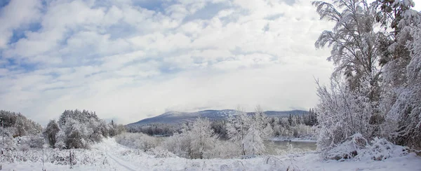 Beautiful winter landscape with snow-covered trees. Winter snow forest with blue sky on background. Fabulous winter. Concept background for new year and Christmas cards