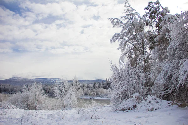 Prachtig winterlandschap met besneeuwde bomen. Wintersneeuwwoud met blauwe lucht op de achtergrond. Heerlijke winter. Concept achtergrond voor nieuwjaar en kerstkaarten — Stockfoto