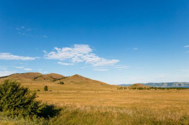 Beyaz bulutlar, ağaçlar, tarlalar ve yeşil çimenler ile çayırlar ile mavi gökyüzü, dağlara karşı. Doğanın bileşimi. Kırsal yaz manzarası.