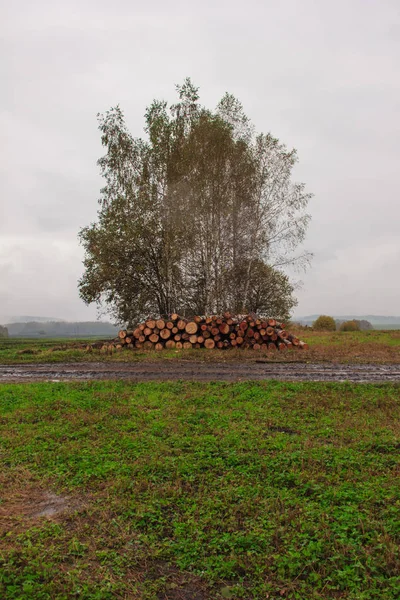 La natura aspra paesaggio e strada attraverso i campi per il fuoristrada SUV con pozzanghere e fango. Autunno o primavera sfondo. I tronchi d'albero segati sono impilati a terra. Raccolta del legname . — Foto Stock