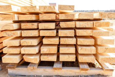 Kereste deposunda bir yığın yeni tahta çivi. İnşaat alanındaki kereste kurumak için. Kesilmiş ve işlenmiş kozalaklı ağaçların arka planı