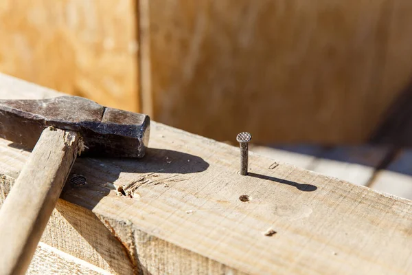 Плотники Используют Молоток Гвоздя Ремесленников Строительного Оборудования Человек Вбивает Железный — стоковое фото
