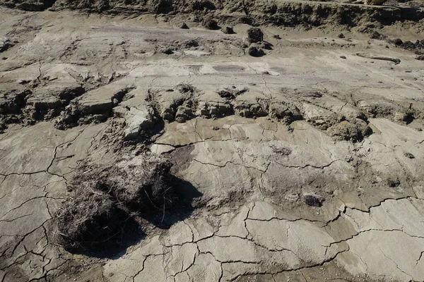 Cracked wet mud clay earth background. Texture of wet soil, top view