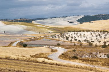İspanya merkez platosundaki tarlalar