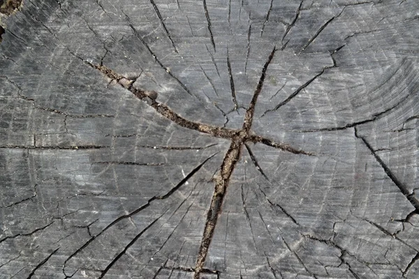 Superficie Texturizada Madera Como Fondo Espacio Copia — Foto de Stock