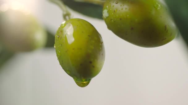 Olive Oil Dripping Raw Green Olives Olive Oil Being Poured — Stock Video