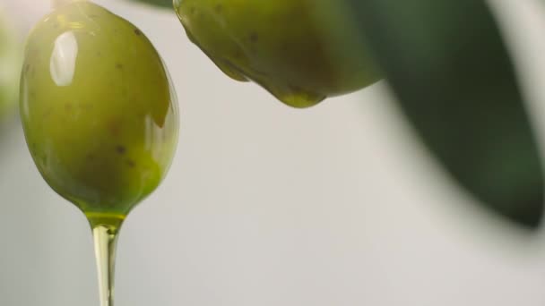オリーブオイルを生の緑のオリーブに滴下 オリーブオイルはオリーブの木の枝から注がれています 緑のオリーブのクローズアップ — ストック動画