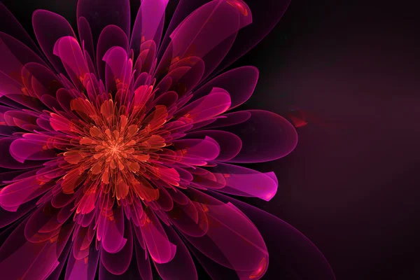 Flor fractal abstrata — Fotografia de Stock