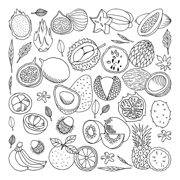 Tropical fruits. Vector illustration, doodle set