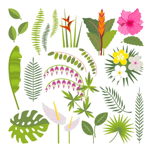 Ensemble de fleurs et feuilles tropicales — Image vectorielle