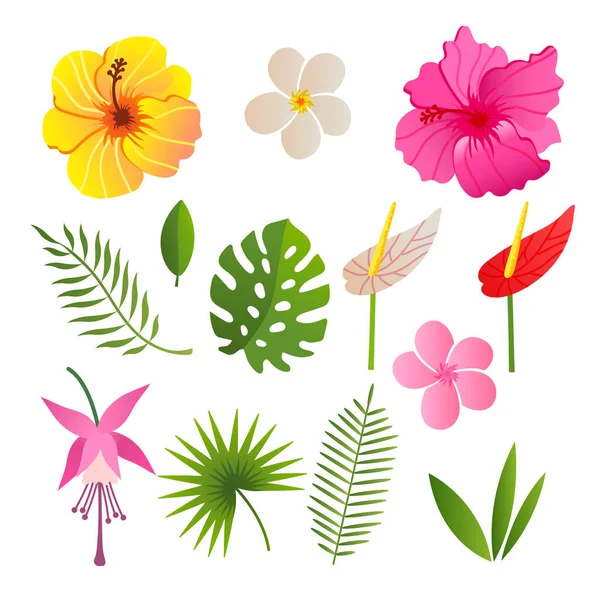 Elementi tropicali di fiori e foglie illustrazione vettoriale — Vettoriale Stock