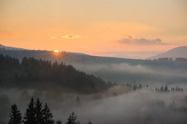 Morgen in den Bergen. — Stockfoto