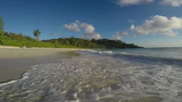 Les vagues océaniques descendent à terre 