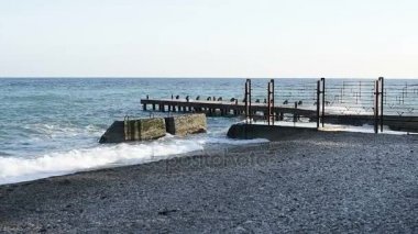 dalgakıran üzerinde kırma dalgalar