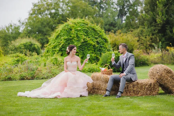Sposa e sposo in possesso di bicchieri di vino — Foto Stock