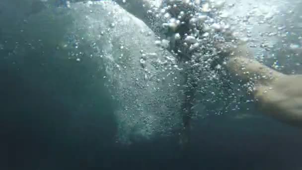 Чоловік занурюється в басейн — стокове відео