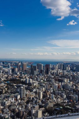 Tokyo Tokyo Japonya manzarası ile