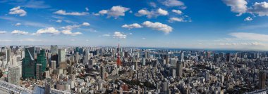 Tokyo Tokyo kule ile Panoraması