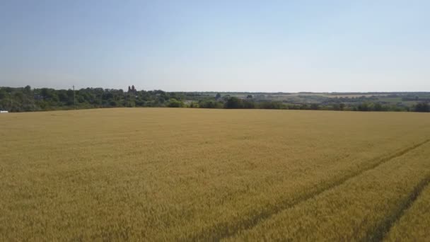 Caméra survole le champ de blé 
