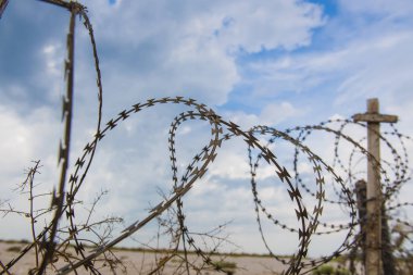 pollo tailandés tradicional barbacoa