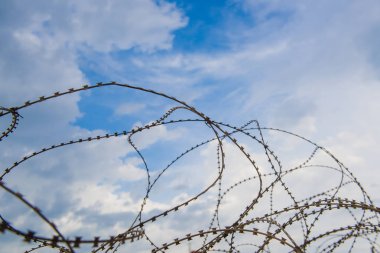 pollo tailandés tradicional barbacoa