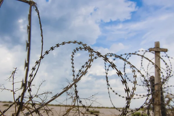 pollo tailandés tradicional barbacoa