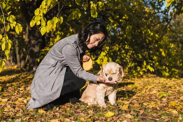 Atraente asiático mulher alimenta cão no parque — Fotografia de Stock