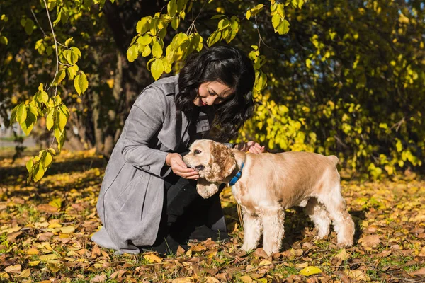 Atraente asiático mulher alimenta cão no parque — Fotografia de Stock