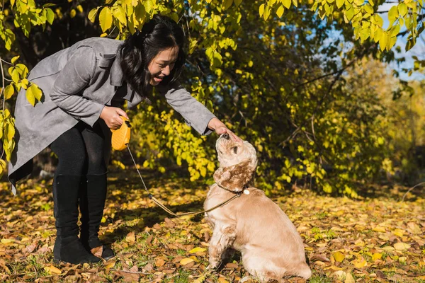 Asiático mulher jogar com cão no outono parque — Fotografia de Stock