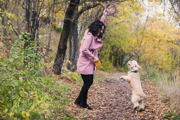 Menina asiática brincando com seu cão no parque — Fotografia de Stock