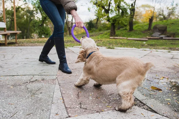 Fille marche avec son chien dans le parc — Photo