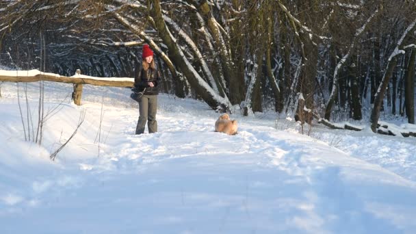 Femme Regardant Souriant Son Épagneul Cocker Extérieur Entraînement Chien Propriétaire — Video