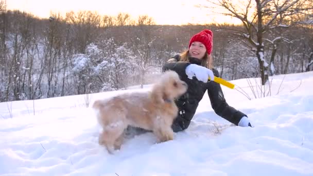 Flicka gör träning med sin cocker spaniel hund — Stockvideo