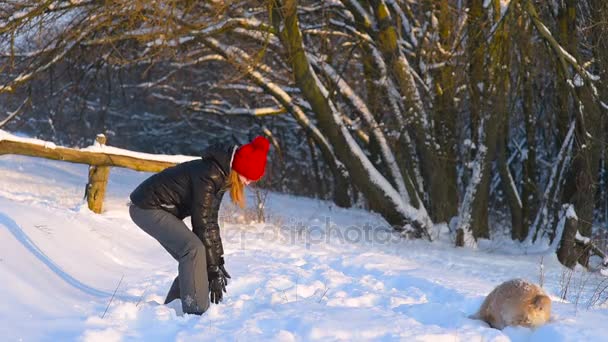 Lány játszik a kutya téli erdőben piros kalapban. — Stock videók