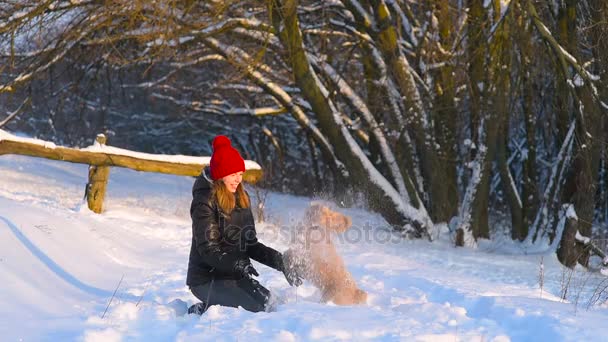 Femme jeter de la neige sur son chien heureux à l'extérieur — Video